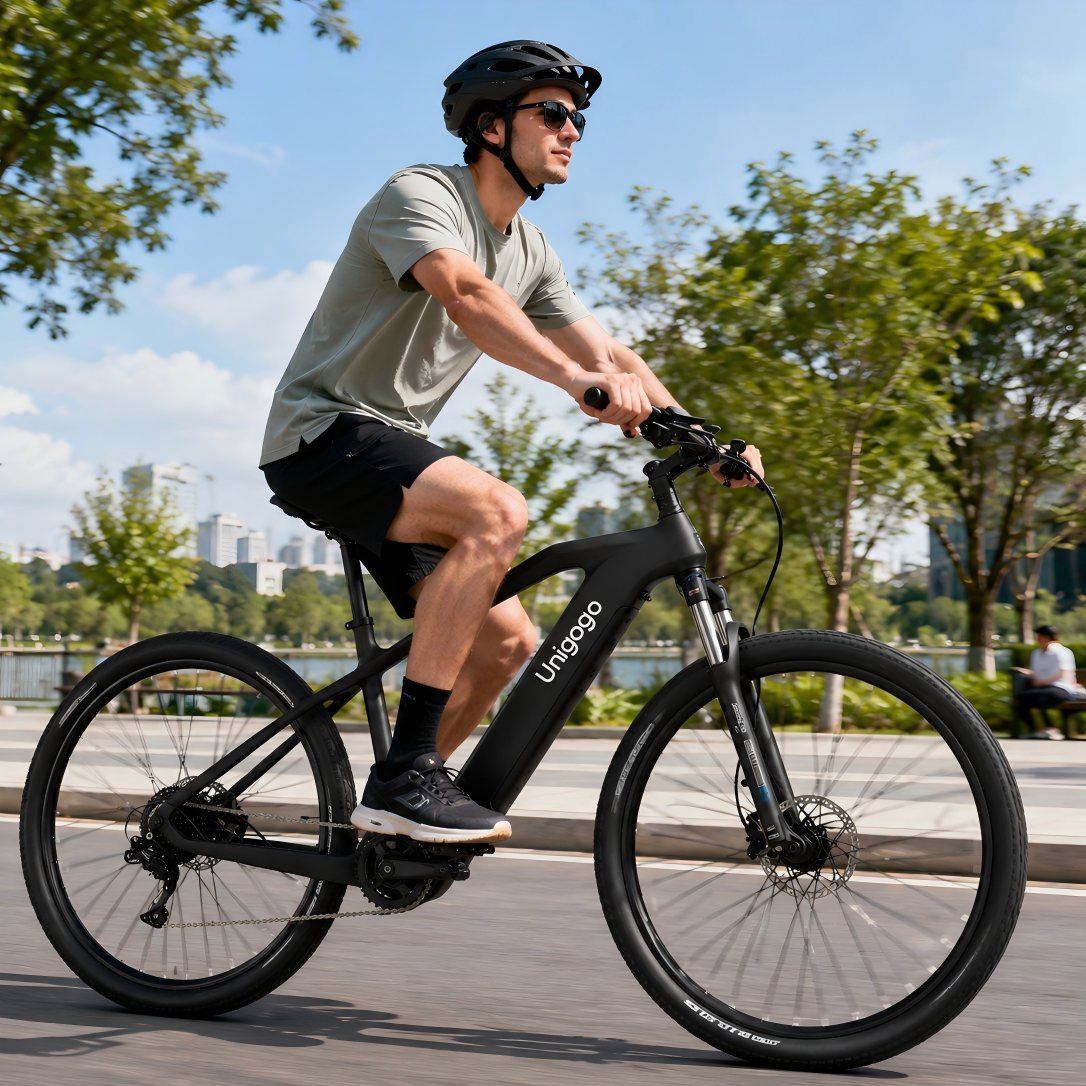 Commuter Biking - M9 OEM Off-Road Electric Bicycle Powerful